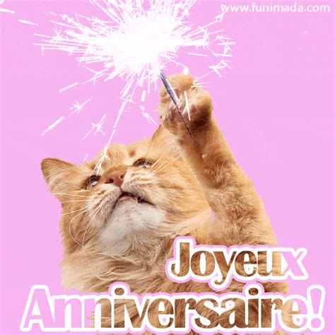 gif joyeux anniversaire chat|Joyeux anniversaire chat GIF